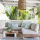 Teak sofa outdoor